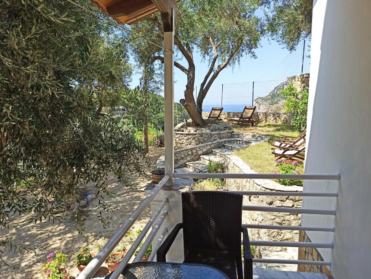 Dolphin Apartments Παλαιοκαστρίτσα Εξωτερικό φωτογραφία